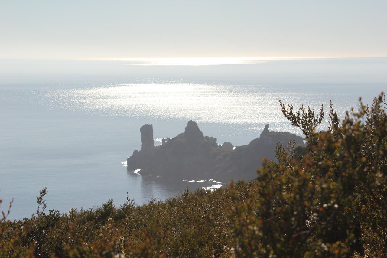 Eagle'S Roost Farmstay B&B Rocky Cape 외부 사진